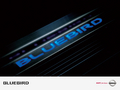 BLUEBIRD(��������)