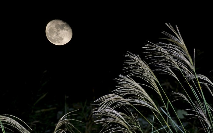 风景 月光 夜景 壁纸(2) 图片导航: : 1920x1200壁纸  月光壁纸  月亮