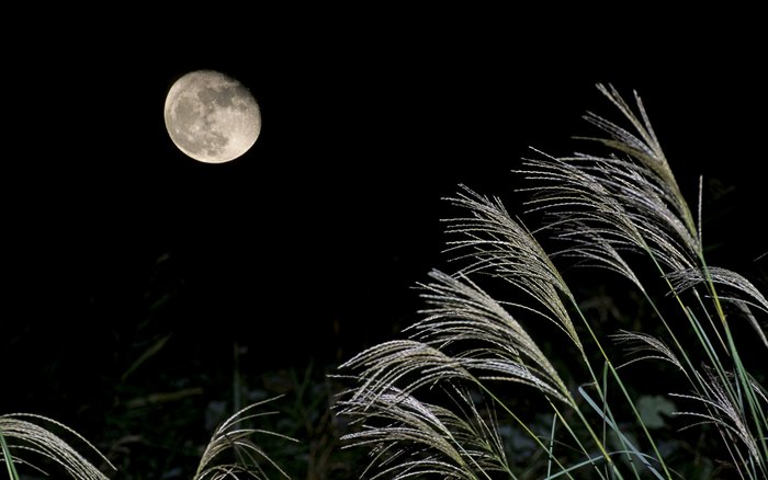 月光 夜景风光风景宽屏壁纸