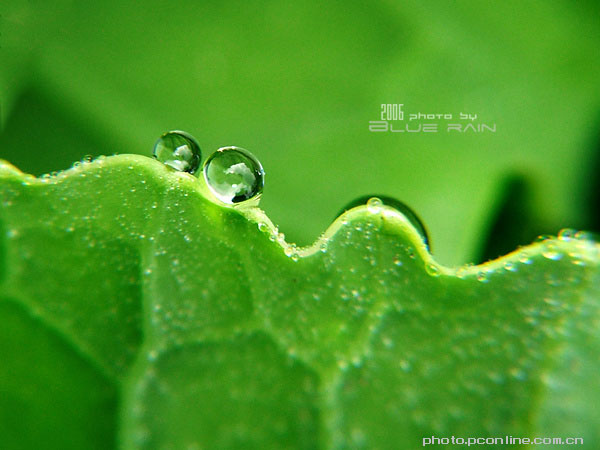 心雨