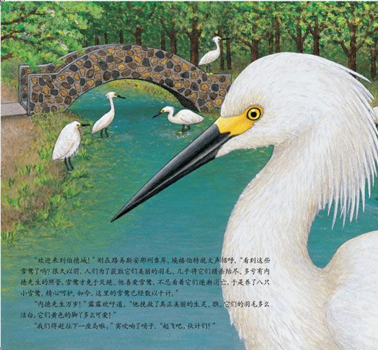 《蓝色乐团观鸟之旅》之狂野海岸历险记精彩连载