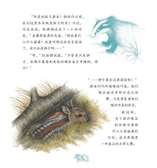 《大自然的故事科学童话》之大熊归来绘本连载