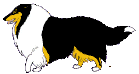 С��