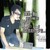 �a�ɐ���