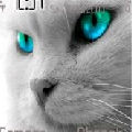 ��Ұ֮��
