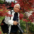 �㺣����