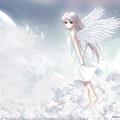 irndsr919