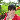 shermie