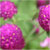 �鿴rosemerry1688�ĸ�����ҳ