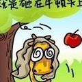 �Ҹ���ѡ��