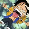 ����luffy��