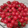 �鿴������ĸ�����ҳ
