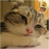 �鿴ƤƤ317�ĸ�����ҳ
