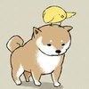 qieqie001