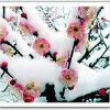 �鿴dadaobei�ĸ�����ҳ