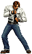 �ڵ�