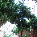 I3 2100与X4 955主<em>玩</em>游戏,如何选择?愁…<em>头发</em>