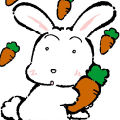 SkyRabbit