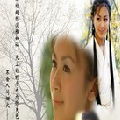 displayt55