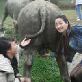 asanwf