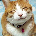 Ц�滢_