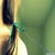 ����g������
