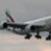 qz23818261
