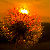 ��ʹ�Ӿ�TONY