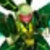 �k�ᨋ