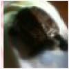 �鿴feiying2501�ĸ�����ҳ