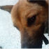 tily