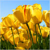 �鿴d��u��o�ĸ�����ҳ