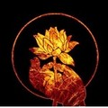 ttxiong