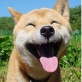 ��Ѹ�ײ����ڶ�����֮��