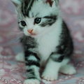 ��o(�ݦء�)o��