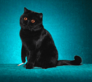 ·�˼�