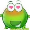 ����kingo0