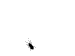����Сǿ