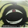 dcshion