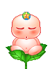 ���ŵĺ�
