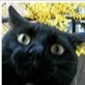 ����