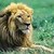 ����76