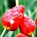 �α�