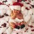 1208babyplan