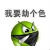 qhy0312
