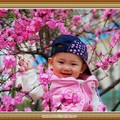 �Ҹ�С����