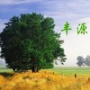 Ȩ��