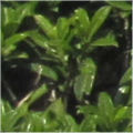 zhy0121