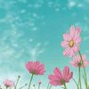 �鿴70�������ĸ�����ҳ