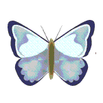 ̫ƽ���Ϻ���